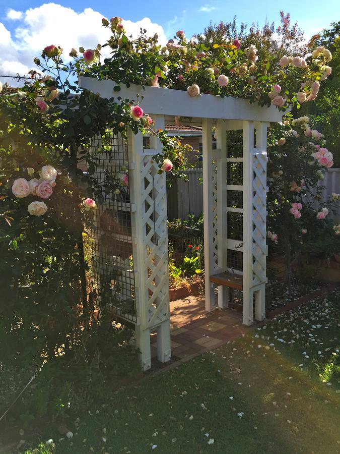 Exley House B&B Perth Eksteriør billede